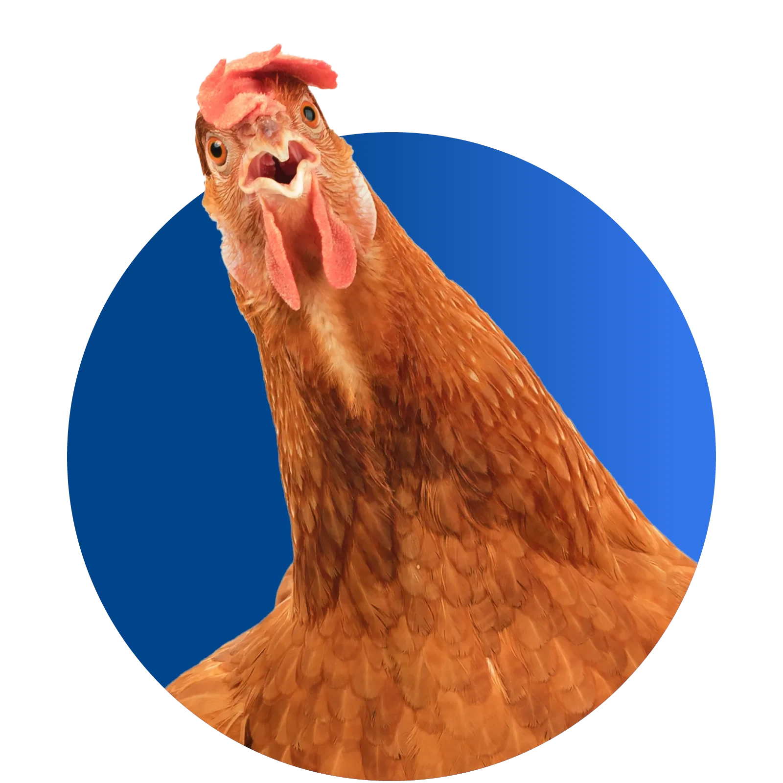 animal nutritional supplements(7)